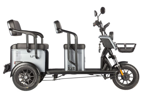 Трицикл электрический Wanshida UM+ (60V, 1000W, зеленый)