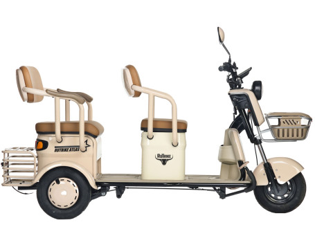 Трицикл электрический Rutrike Атлас (красный) (026353-3256)