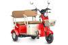 Трицикл электрический Rutrike Атлас (красный)