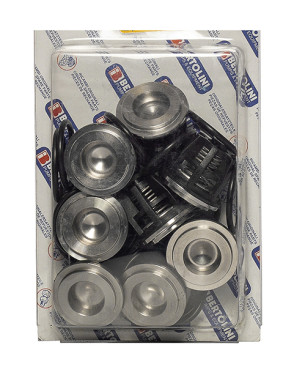 Ремкомплект Bertolini KIT (клапаны, PPS 100)