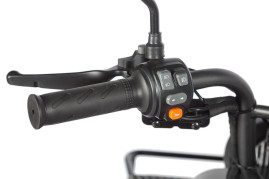 Трицикл электрический Wanshida UM+ (60V, 1000W, серый)