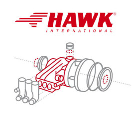 Комплект клапанов HAWK XXT HT (6 шт)