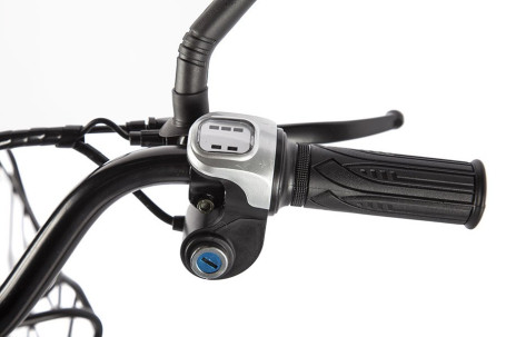 Электровелосипед GREEN CITY e-ALFA new (коричневый)