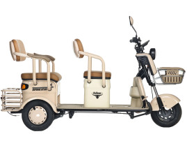 Трицикл электрический Rutrike Атлас (черный)
