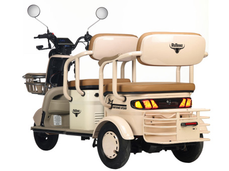 Трицикл электрический Rutrike Атлас (черный) (026353-3259)