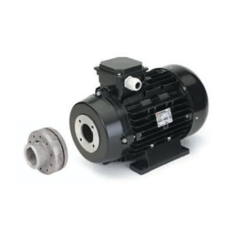 Электродвигатель Nicolini (22кВт, 380В, 1450об/мин, п.в.24мм, H160, с муфтой)