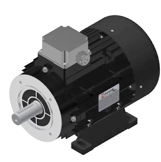 Электродвигатель Nicolini (4кВт, 380В, 1450об/мин, н.в. 28.4мм, Dфл 130мм, H100)