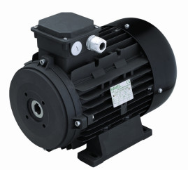 Электродвигатель RAVEL 1959A (15кВт, 380В, 1450об/мин, п.в. 24мм, H160S)