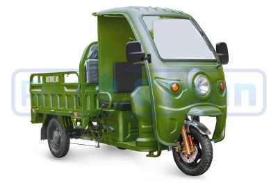 Трицикл электрический Rutrike Глобус 1500 60V/1000W (зеленый)