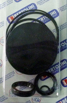 Ремкомплект Bertolini KIT257 (уплотнители, CK146-220)