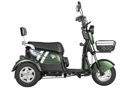 Трицикл электрический Rutrike Шкипер (зеленый)