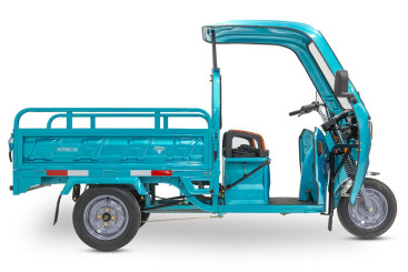 Трицикл электрический Rutrike Глобус NEXT 1500 (60V, 1200W, серый)