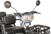 Трицикл электрический Rutrike Тубан (белый) (026351-3248)