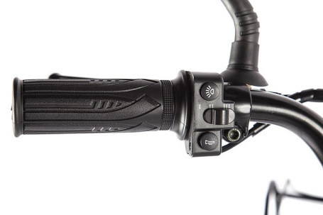 Электровелосипед GREEN CITY e-ALFA Fat (серебристый)