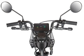 Трицикл электрический Rutrike Караван (черный)