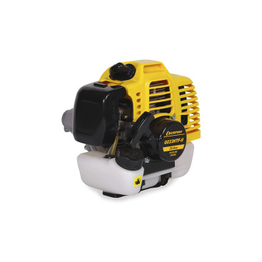 Двигатель бензиновый Champion G033HTF-II