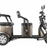 Трицикл электрический Rutrike Караван (коричневый)