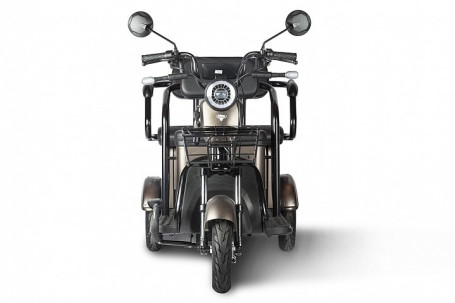 Трицикл электрический Rutrike Караван (коричневый)