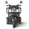 Трицикл электрический Rutrike Караван (коричневый)