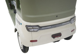 Трицикл электрический Rutrike Астра (красный)
