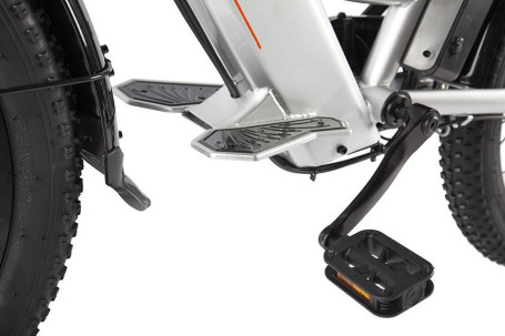 Электровелосипед GREEN CITY e-ALFA GL (серебристый)