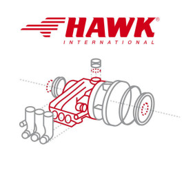 Комплект клапанов насоса HAWK HFR 80S/105S/120S (6шт)