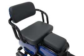 Трицикл электрический Rutrike Квадро (черный)