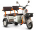 Трицикл электрический Rutrike Gelbert Beta (48/60V, 800W, бежевый)