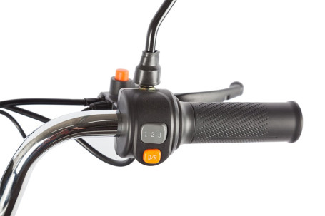 Трицикл электрический Rutrike Gelbert Beta (48/60V, 800W, бежевый)