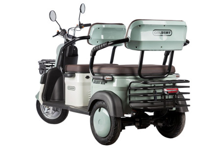 Трицикл электрический Rutrike Gelbert Beta (48/60V, 800W, сине-белый)