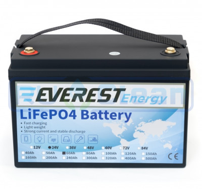 Аккумуляторная батарея Everest Energy (24В, 60Ач, LiFePO4, Bluetooth)
