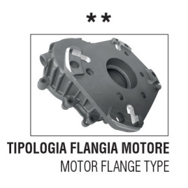 Редуктор для ДВС Tecomec RGB24 (17кВт, 28.6/24мм, фланец 89мм)