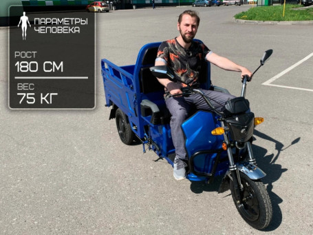 Трицикл электрический Rutrike Вояж К1 1200 60V800W (синий)