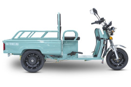 Трицикл электрический Rutrike Амулет 1100 (темно-зеленый)
