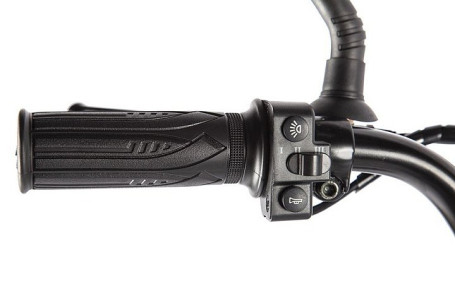 Электровелосипед GREEN CITY e-ALFA LUX (темно-серый)