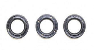 Ремкомплект Bertolini KIT111 (сальн. плунжеров, C75)