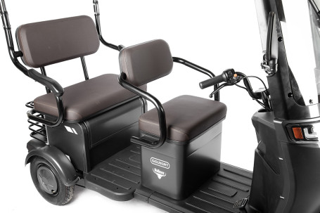 Трицикл электрический Rutrike Gelbert Bos (48/60V, 800W, синий)