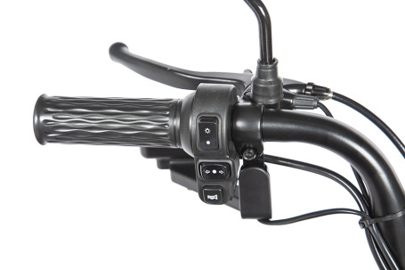 Трицикл электрический Rutrike Пилот (черный)