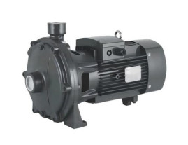 Центробежный насос Quadra QС2(m) 25-140/15 (1.2 кВт)