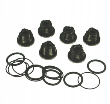 Комплект клапанов AR (для насосов серии AR ,  1409050 + 620030 + 540361, 6шт)