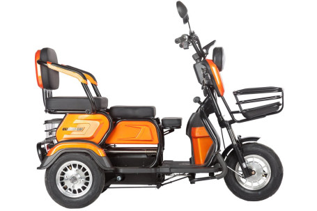 Трицикл электрический Rutrike Gelbert Caf (48/60V, 600W, белый)