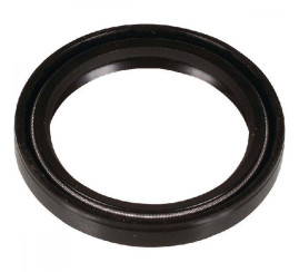 Сальник коленвала Bertolini (CK110-220P/PP)