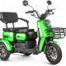 Трицикл электрический Rutrike Патрон (зеленый)