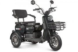 Трицикл электрический Rutrike Патрон (черный)