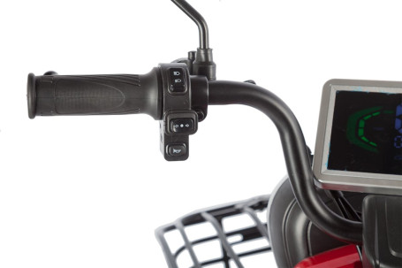 Трицикл электрический Rutrike Gelbert Kappa (48/60V, 650W, красный)