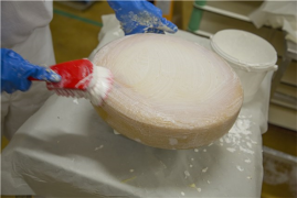 Щетка Vikan (27см, красный)