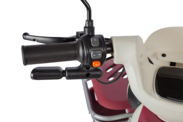 Трицикл электрический Rutrike Gelbert Mercury (48/60V, 650W, черный)