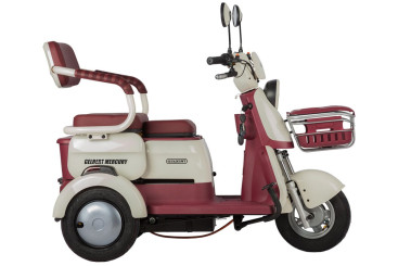 Трицикл электрический Rutrike Gelbert Mercury (48/60V, 650W, зеленый)