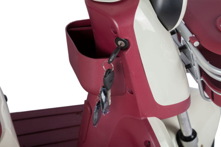 Трицикл электрический Rutrike Gelbert Mercury (48/60V, 650W, зеленый)