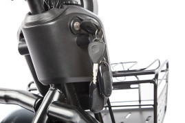 Трицикл электрический Rutrike Экипаж (черный)